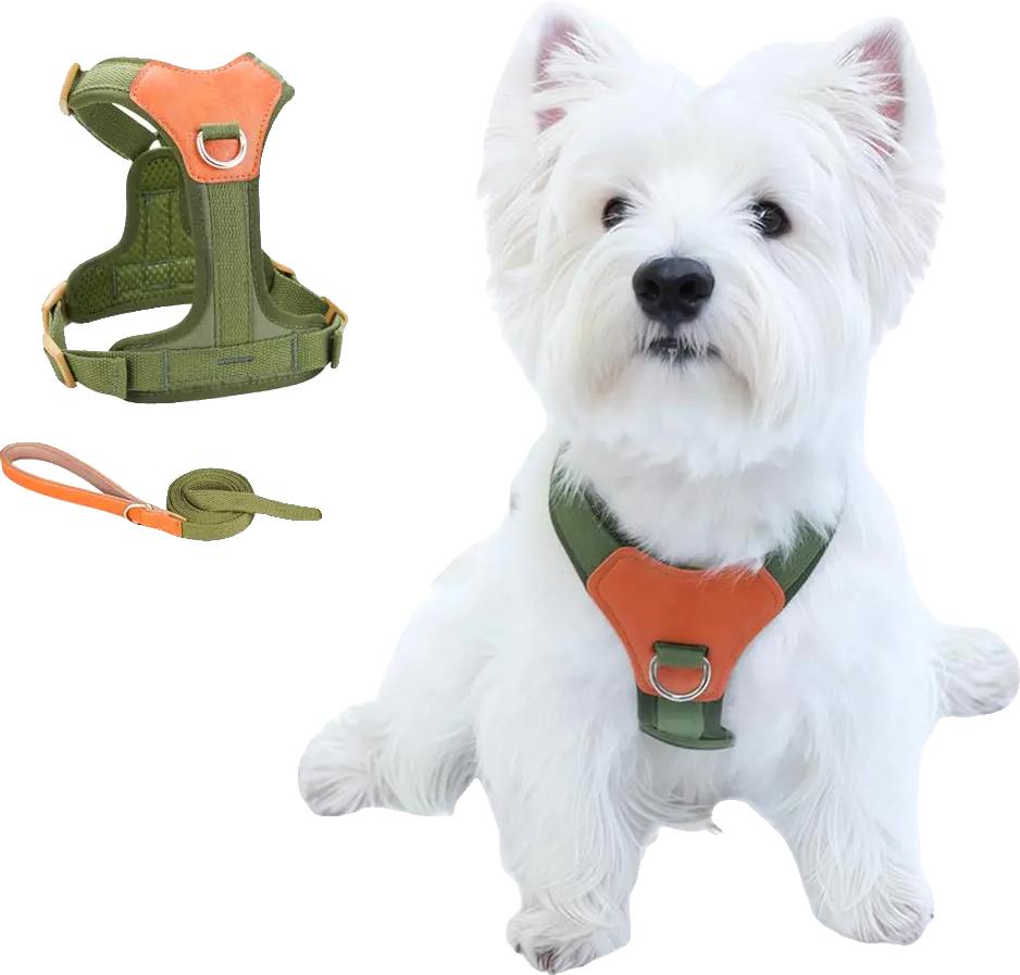 CHUNFENGX No Pull Dog Harness and Leash Set Front Clip Dog Harness Medium Sized