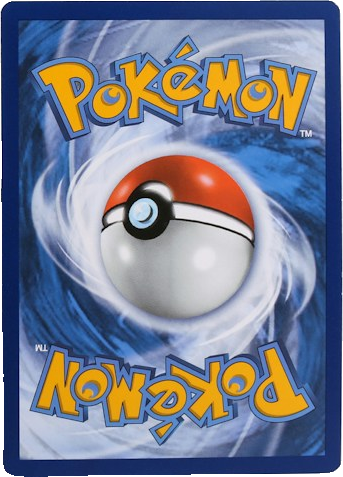 Premium Card Sleeves (100ct)