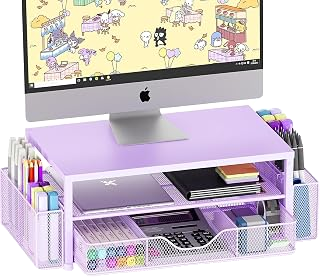 Two-Tier Monitor Riser with Integrated Storage