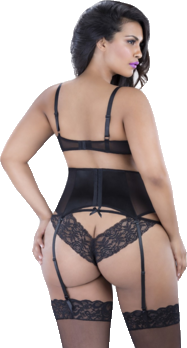 Satin and Sheer Lace Garter Belt