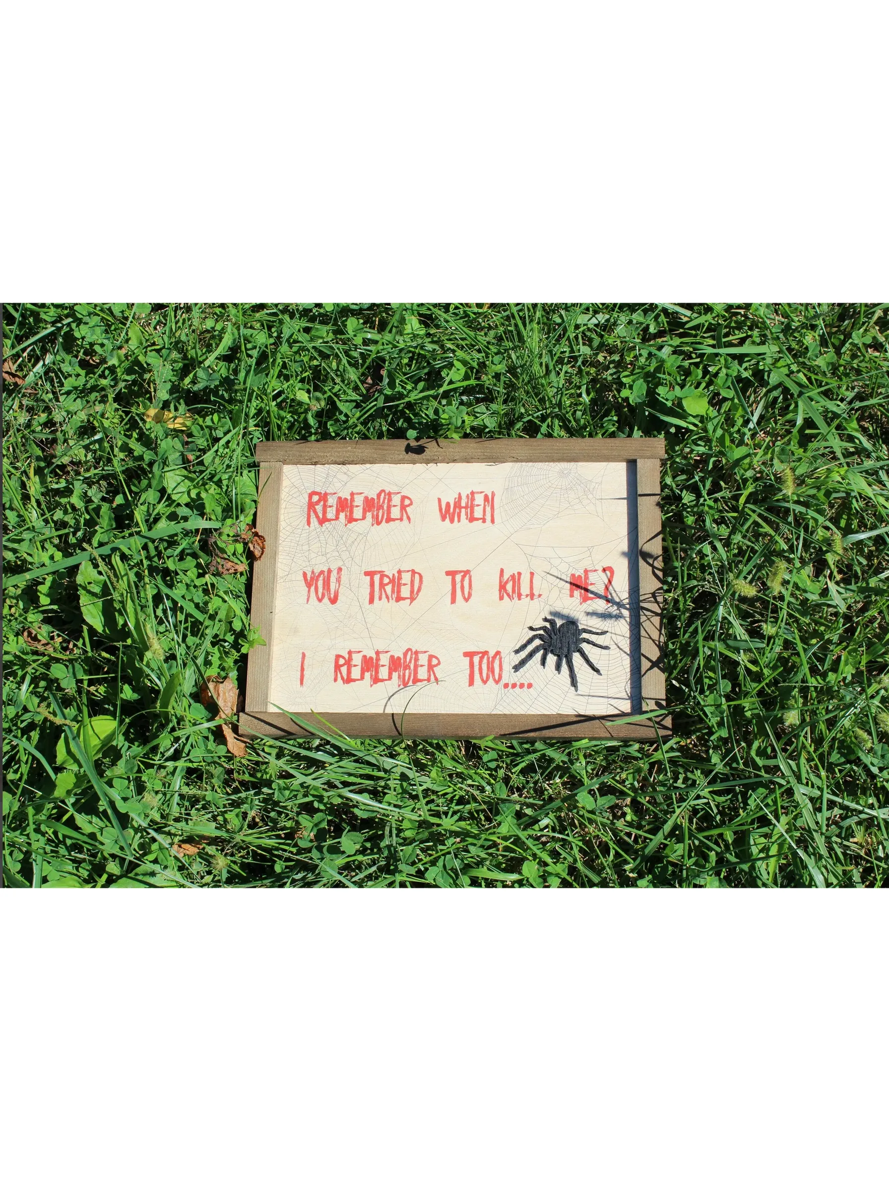 Spider Scary Joke Wall Decor